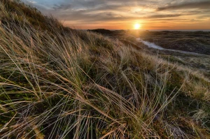 Potrzebny mechanik? Pomożemy Ci dobrze wybrać!